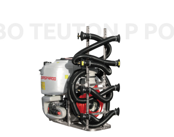 TURBO TEUTON P POLIPO