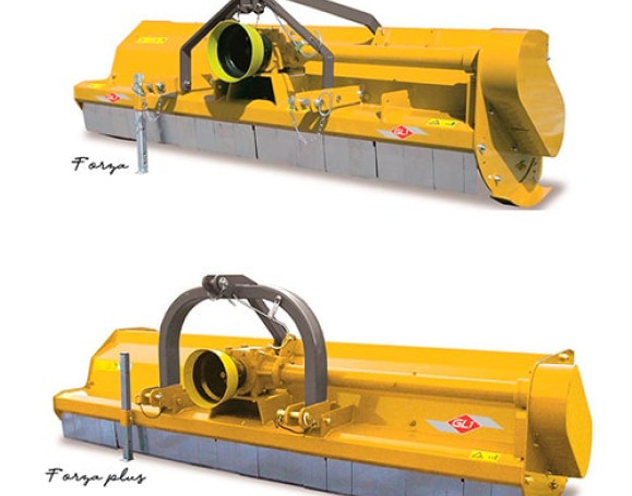 FORZA – FORZA PLUS