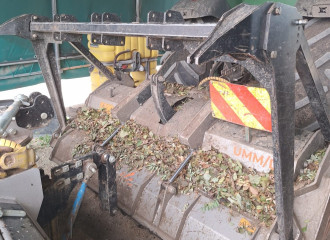 Trincia sermenti Fae UMM /DT 225