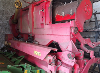 TESTATA GRANO GHERINGOFF 540