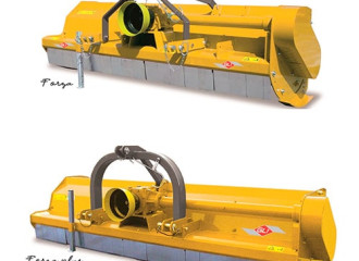 FORZA – FORZA PLUS